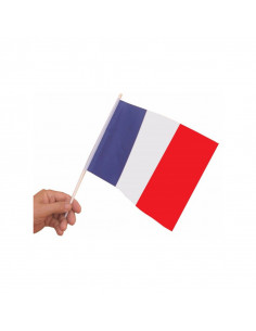 Sachet de 10 drapeaux France en tissu pas cher pour évènements festifs