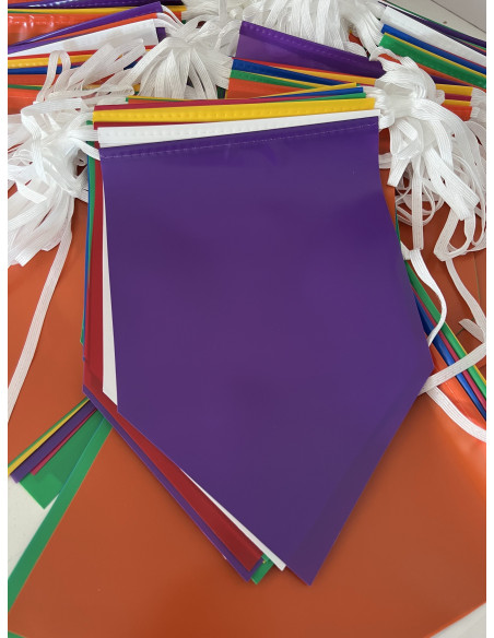 guirlande fanions écusson en plastique multicolore
