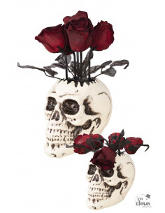 Vase crâne avec roses animé et sonore
