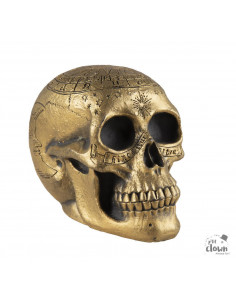 Crâne décoré doré