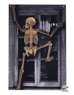 Décor de fenêtre squelette grimpant