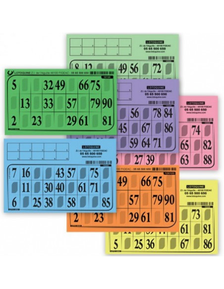Lot de 500 cartons de loto souples