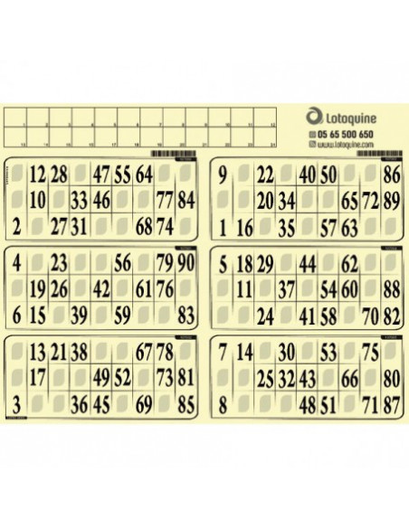 Carton loto souple / 500 grilles en plaques à tamponner