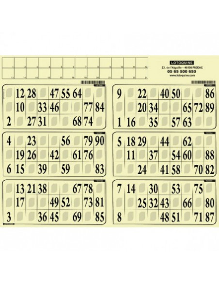 Carton loto rigide / 500 grilles en plaques à tamponner