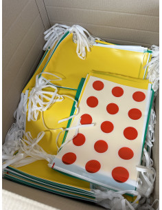 Guirlande fanions maillots tour de France en plastique ultra résistant 2