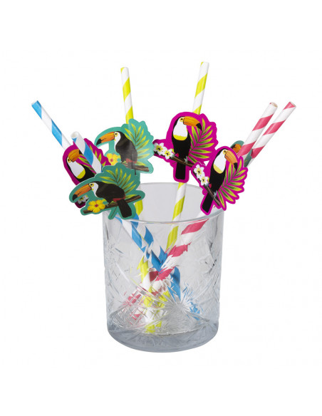 Lot de 6 pailles en papier Toucan