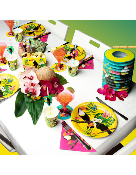 Lot de 6 pailles en papier Toucan