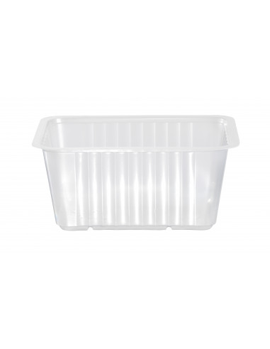 Barquettes translucides en plastique : vaisselle jetable