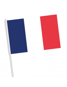 Lot de drapeaux Français en papier pas cher : Manifestations et supporter