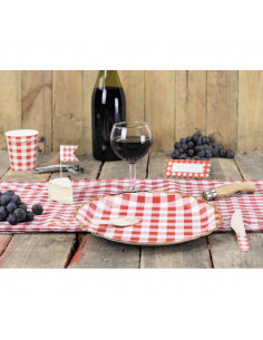 Assiettes guinguette en carton X8 : Vaisselles guinguette 2