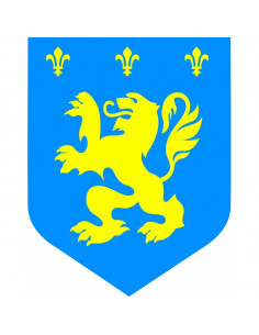 Décoration médiéval lion bleu et jaune en carton : Déco évènements