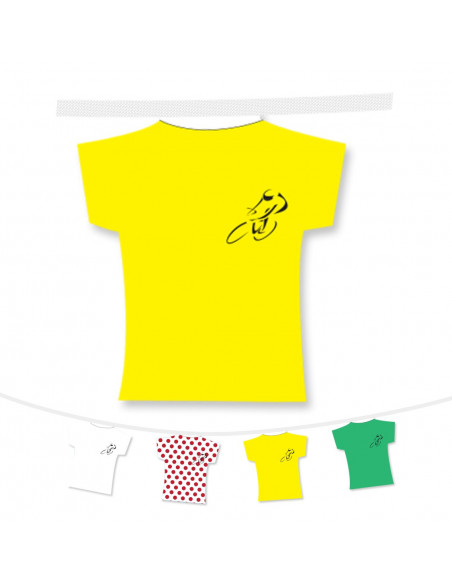 Guirlande fanions maillots du tour de France de 5 mètres de longueur