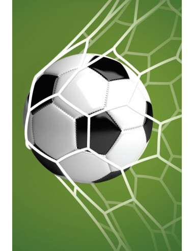 Guirlande fanions football rectangulaire 5 mètres de longueur