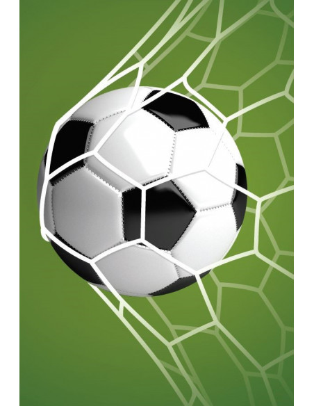 Guirlande fanions football rectangulaire 5 mètres de longueur