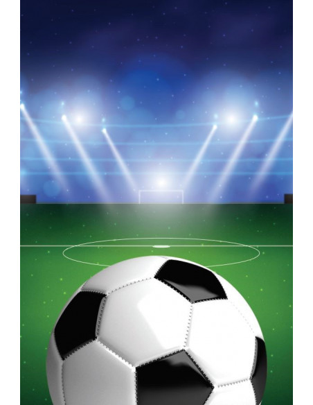 Guirlande fanions football rectangulaire 5 mètres de longueur