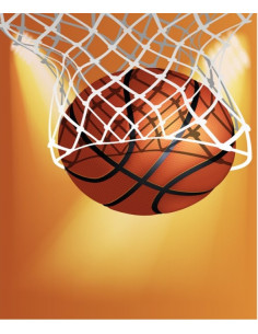 Guirlande 5m de 8 fanions sport basket en papier 2