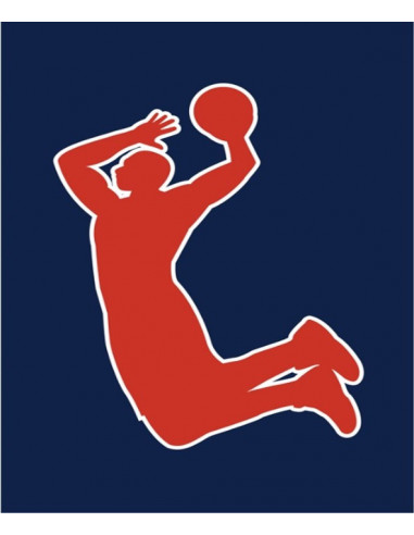 Guirlande 5m de 8 fanions sport basket en papier Guirlande 5m de 8 fanions sport basket en papier