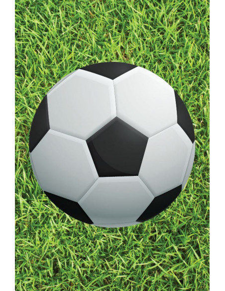 Guirlande coupe d'Europe de foot