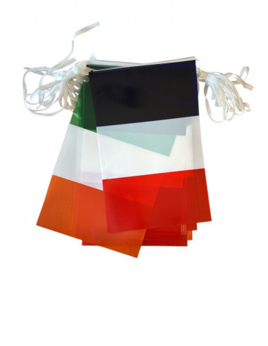 Guirlande fanions drapeaux France Irlande en plastique ultra résistant : fabrication française