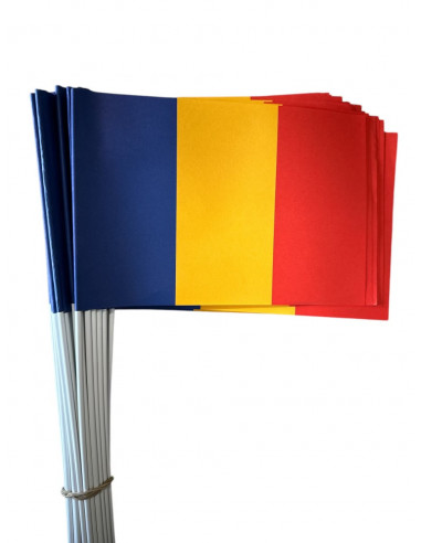 Lot de drapeaux Roumanie en papier : Espace événement