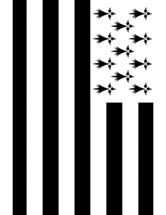 Guirlande drapeau Bretagne 10m en plastique : Fabrication Française 2