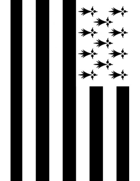 Guirlande drapeau Bretagne 10m en plastique : Fabrication Française