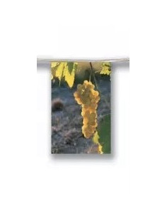 Guirlande fanions raisin blanc en papier 2