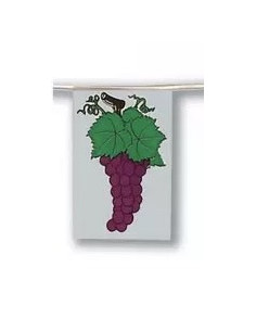 Guirlande fanions raisin rouge en plastique 2